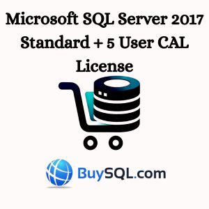 Microsoft SQL Server 2017 Standard + 5 User CAL License