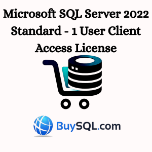 Microsoft SQL Server 2022 Standard - 1 User Client Access License